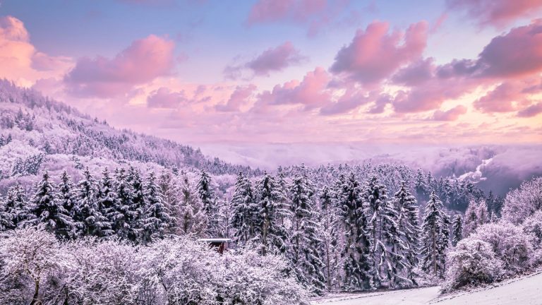 Die besten Reiseziele für unvergessliche Wintererlebnisse