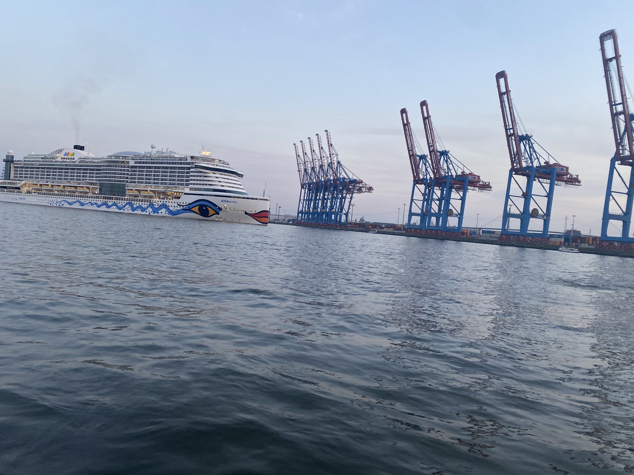 Neue AIDA-Tarife ab Juli 2025: Welcher passt zu dir? Neue AIDA-Tarife ab Juli 2025: Welcher passt zu dir?